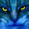 mawsithecat