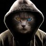 klim_